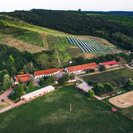 Bed & Breakfast Matyus Udvarhaz Kengyel Fogado 2*