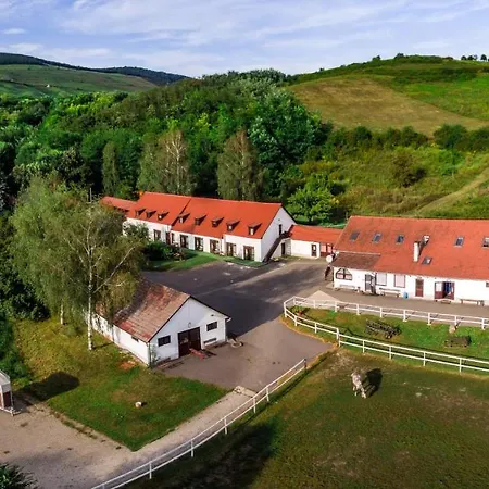 Matyus Udvarhaz Kengyel Fogado Bed & Breakfast 2*