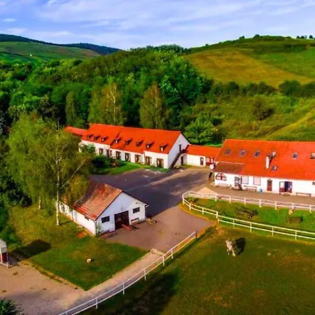 Mátyus Udvarház Kengyel 3* Eger