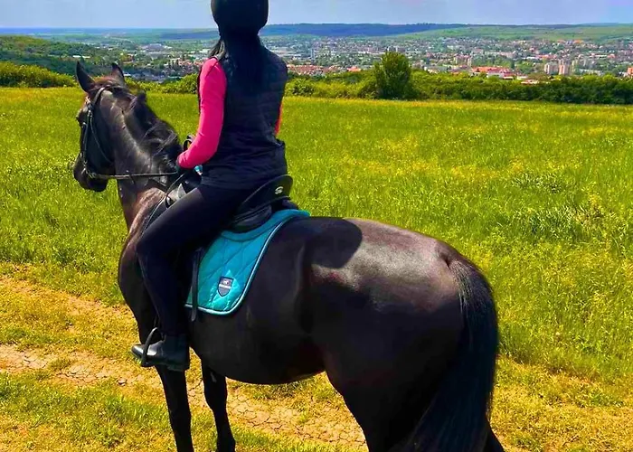 Mátyus Udvarház Kengyel Bed and breakfast 3*