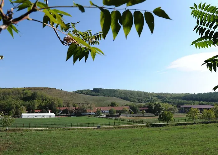 Mátyus Udvarház Kengyel