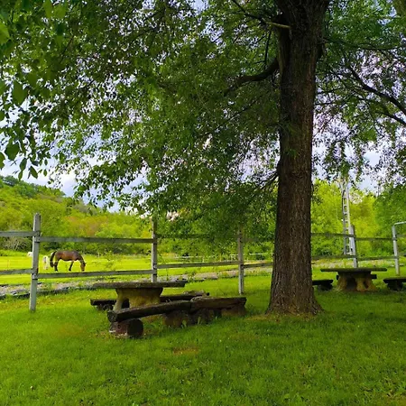 Bed and Breakfast Matyus Udvarhaz Kengyel Fogado