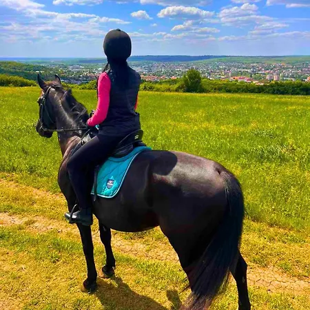 Matyus Udvarhaz Kengyel Fogado Отель типа 