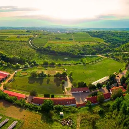 Bed and breakfast Matyus Udvarhaz Kengyel Fogado