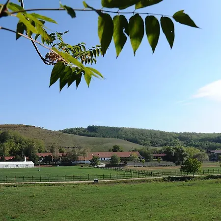 Matyus Udvarhaz Kengyel Fogado