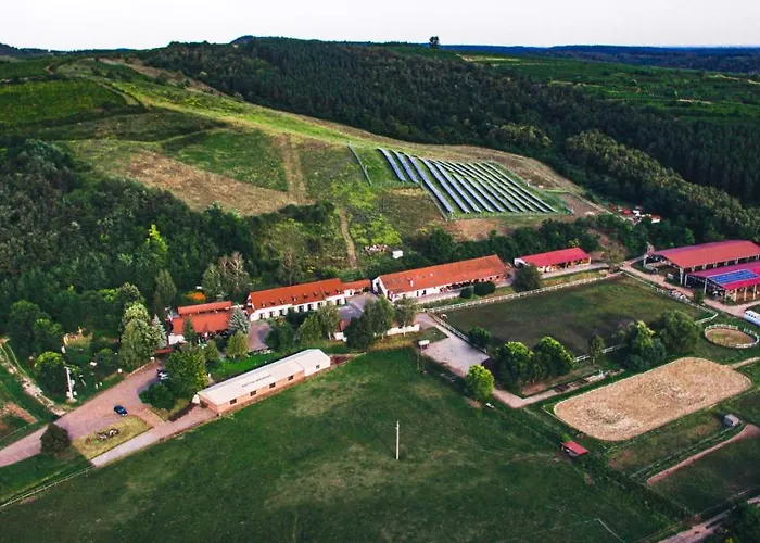 Bed & Breakfast Matyus Udvarhaz Kengyel Fogado 3*