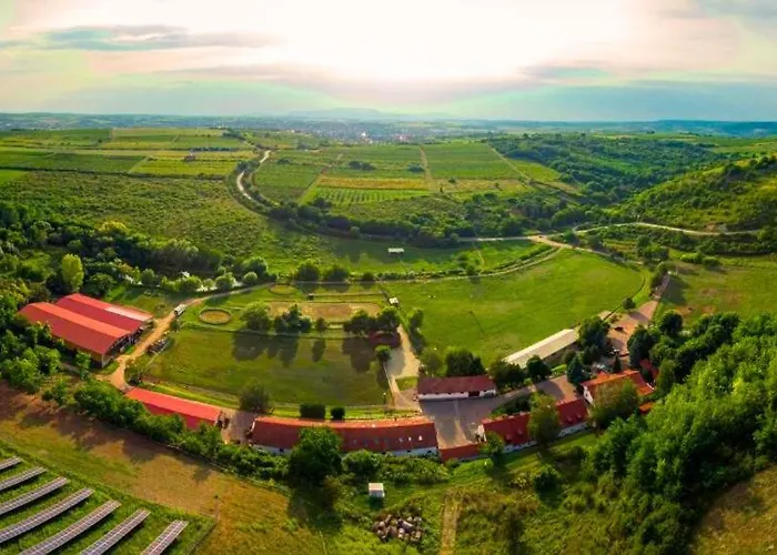 Bed & Breakfast Matyus Udvarhaz Kengyel Fogado