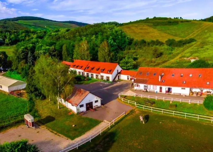 Matyus Udvarhaz Kengyel Fogado 3* Eger